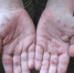 вирус6 - Borisoglebsk.Net