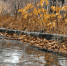 1350675609_muzyka-dozhdya-19 - Borisoglebsk.Net