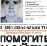 Внимание! Розыск! - Borisoglebsk.Net