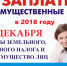 Заплати налоги, а то набегут пени! - Borisoglebsk.Net