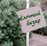 Елочные базары в городе начнут работу с 15 декабря - Borisoglebsk.Net
