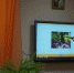 DSC02511 - БФ ВГУ