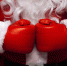 БОКСЕРСКИЙ ТУРНИР НА ПРИЗЫ ДЕДА МОРОЗА ПРОЙДЕТ В ГРИБАНОВКЕ - Borisoglebsk.Net