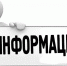 Эксперты подтвердили бешенство волчицы, укусившей человека - Борисоглебский городской округ
