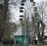 3 мая состоится открытие городского парка культуры и отдыха - Борисоглебский городской округ