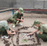 Лето продолжается - Борисоглебский городской округ