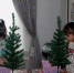 270837681 2198604730280902 7943925999687261768 n - Историко-художественный музей