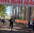 Легкоатлетический кросс среди школьников - Борисоглебский городской округ