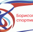 Школьники Борисоглебска приняли участие в Фестивале ГТО!. - Борисоглебский городской округ