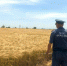 Пожарная безопасность в период уборочной кампании.. - Борисоглебский городской округ