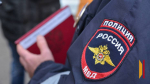 Полиция проведет проверку после танцев воронежцев под Верку Сердючку в Борисоглебске