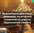 Безопасность дорожного движения: позитивные изменения на дорогах Воронежской области. - Борисоглебский городской округ