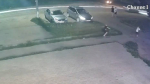 Появилось видео жуткой смертельной аварии в Борисоглебске Воронежской области, где погибла 13-летняя девочка